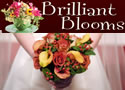 Brilliant Blooms : Exquisite Floral Designs for Special Occasions